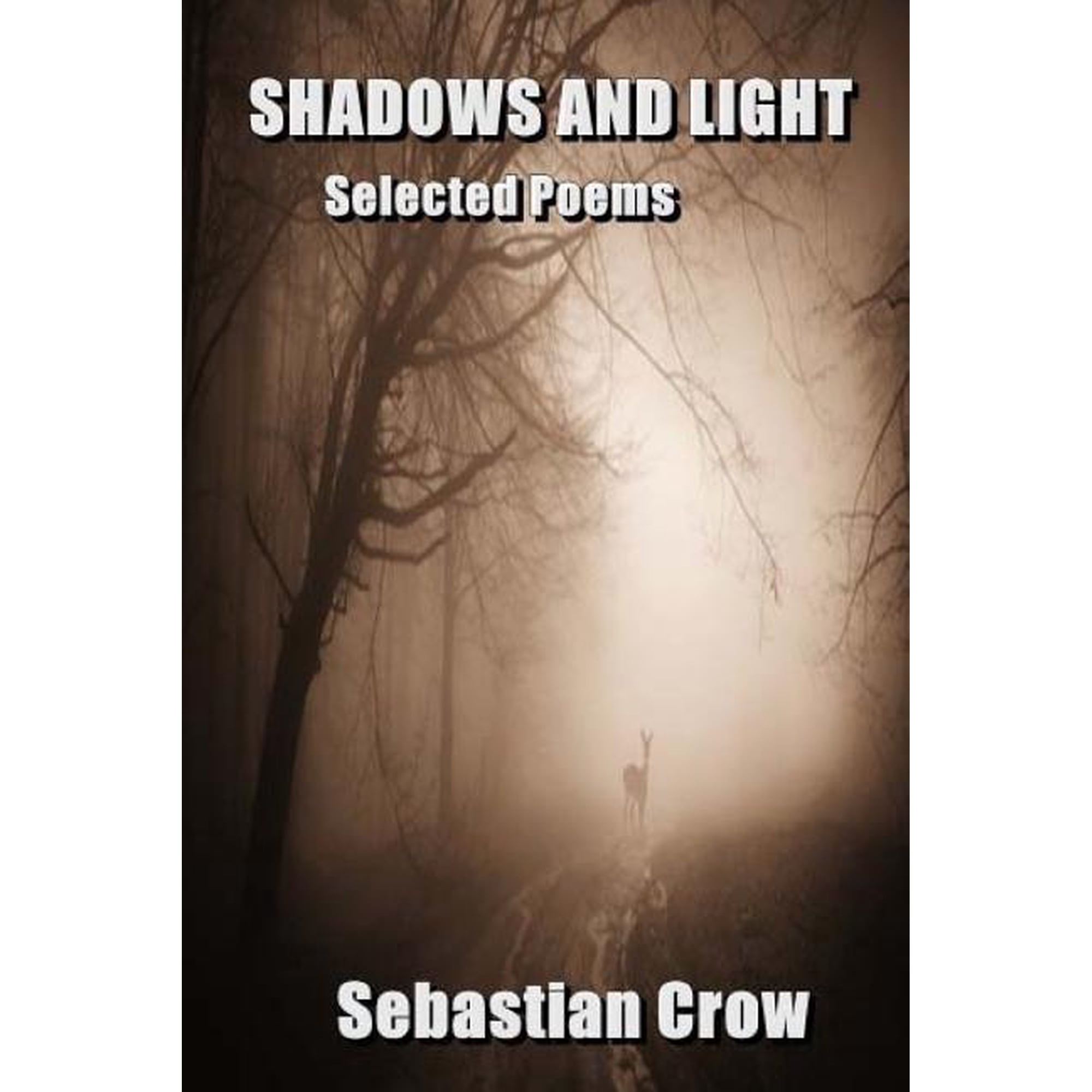Shadows and Light: Selected Poems (Paperback)