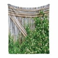 thumbnail image 1 of Farmland Soft Flannel Fleece Throw Blanket, Bamboo Fence Covered by Ivy Daisy Flower Blooms Chamomile Petals Picture, Cozy Plush for Indoor and Outdoor Use, 50" x 70", Green Pale Brown, by Ambesonne, 1 of 6
