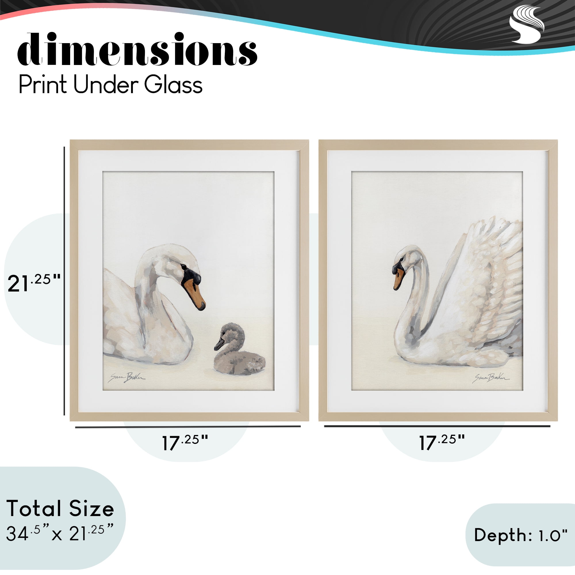 Stupell Industries Graceful Swan & Cygnet 2 Piece Birch Framed Print Under Glass Set, design by Sara Baker