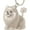 A, variant on Pet Hair Pendant for Dog Owners - Adorable Keepsake Jewelry to Treasure Precious Memories