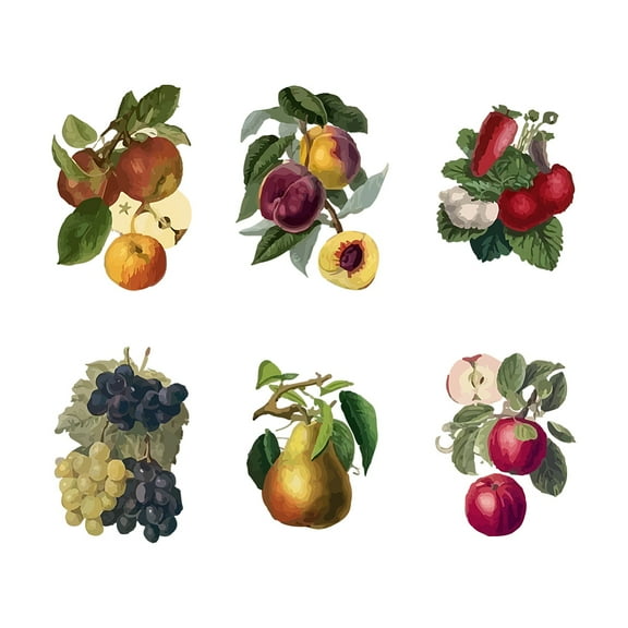 PVC Wall Stickers Wall Decoration 800x390mm Fruit