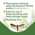 thumbnail image 5 of Bird Seed Moth Trap, 5 of 5