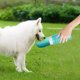 thumbnail image 4 of Botella de agua para perros 400 ml, acero inoxidable 304, aislamiento al vacío, 24 h fría/12 h caliente, a prueba de fugas y con correas para senderismo, paseos y acampadas., 4 of 5