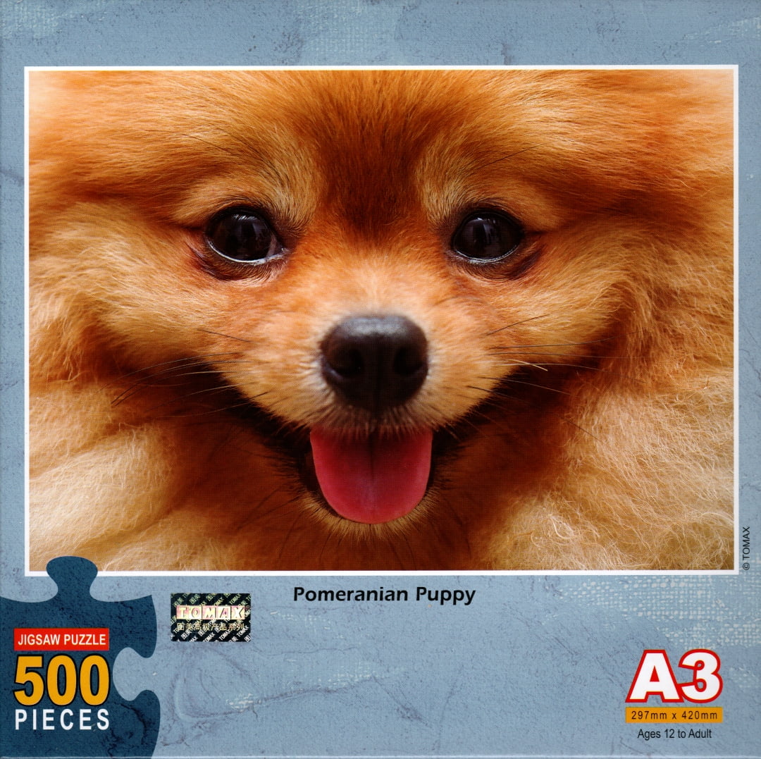 pomeranian puzzle