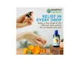 thumbnail image 6 of Earth Elements Organics Gentle Nourishing Organic Calendula Flowers Body Oil Unscented 1 fl oz, 6 of 7