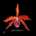 thumbnail image 3 of Joyner, Ginny 20x20 Black Modern Framed Museum Art Print Titled - Vivid Orchid II, 3 of 5
