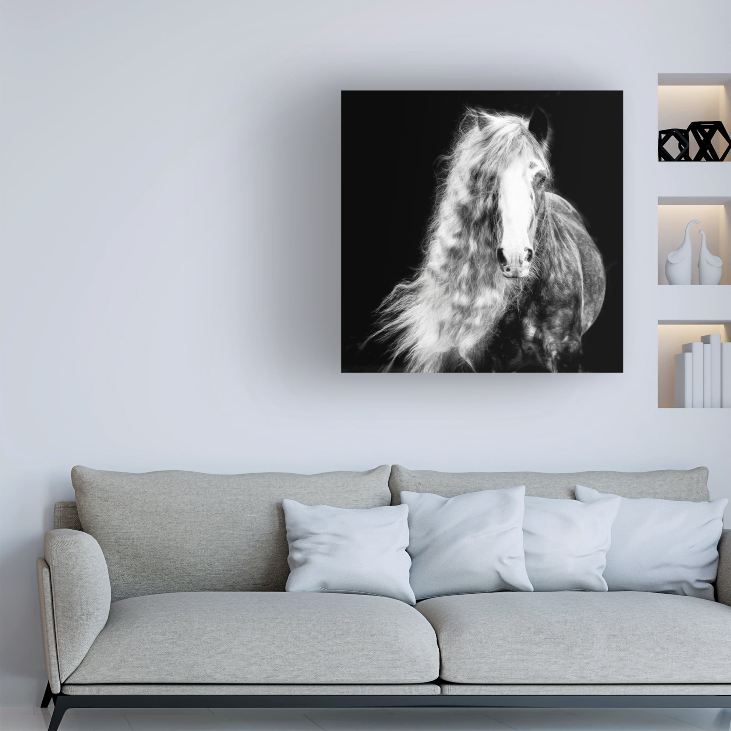 PHBurchett 'Black and White Horse Portrait I' Canvas Art