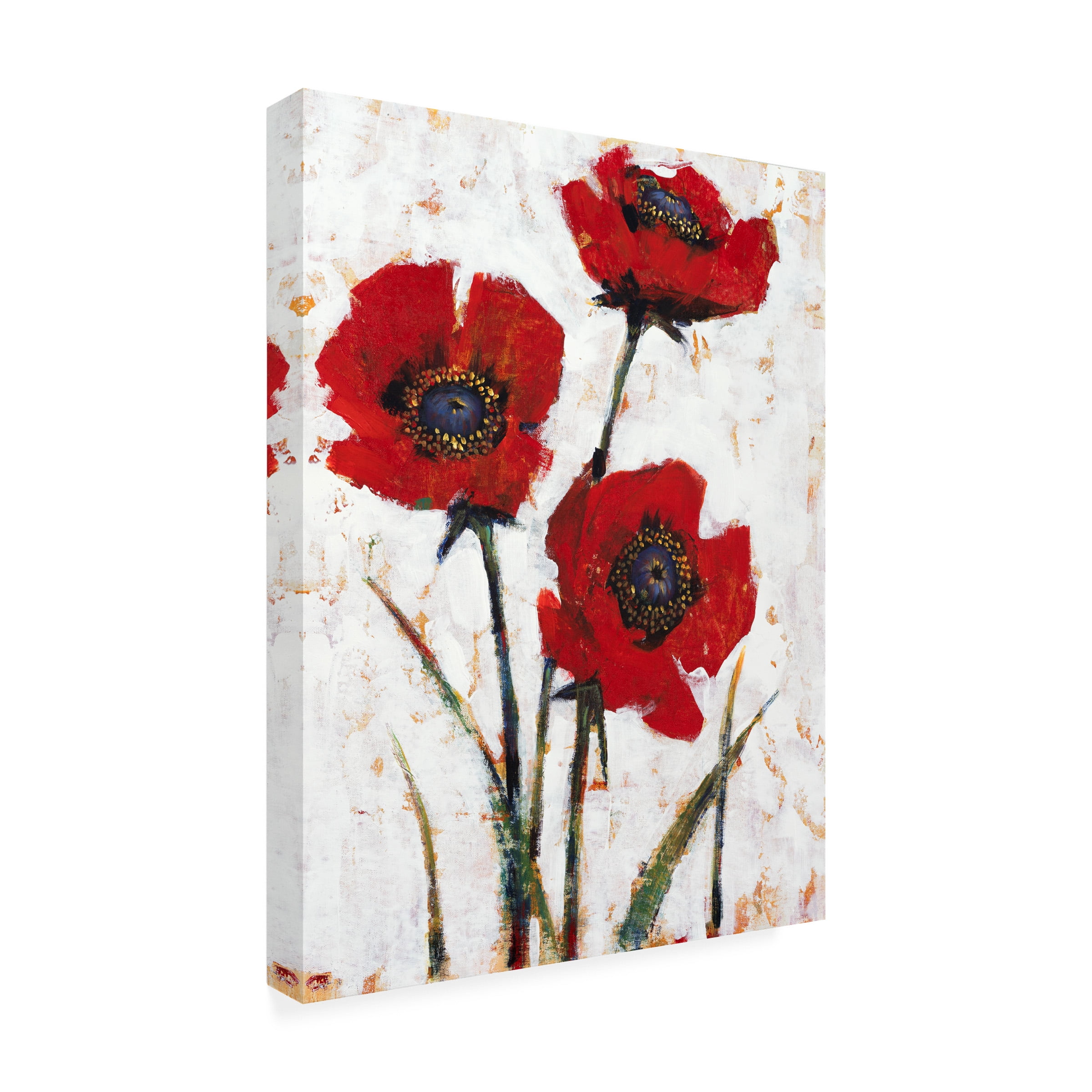 Tim O Toole 'Red Poppy Fresco II' Canvas Art