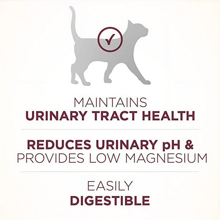 Purina ONE Urinary Tract Health High Protein Natural Adult Dry Cat Food Wet Cat Food