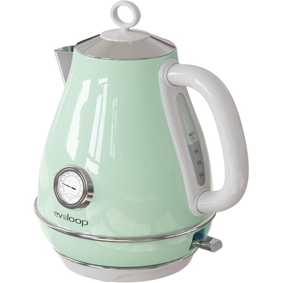 Evoloop Electric Tea Kettle with Rapid Egg Cooker, 1.7L Stainless Steel Hot Water Boiler for Coffee and Tea, 6-Egg Capacity