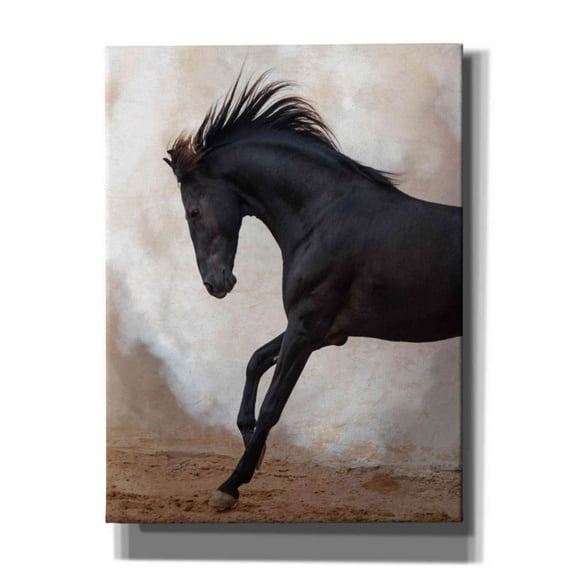 Epic Graffiti 'obama4' by Susan Friedman,, 12"x16"