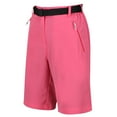 thumbnail image 3 of Regatta Womens Xert Stretch Shorts, 3 of 5