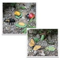 thumbnail image 2 of Modèle d'Insecte Simulation Cycle de Croissance des Papillons Figurine Jouet Éducatif pour Enfants, 2 of 7
