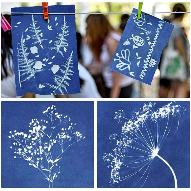 PENGXIANG Sun Print Paper Kit Cyanotype Paper Sun Art Paper