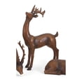 thumbnail image 1 of IMAX Corporation Reindeer NaturalRight in Brown, 1 of 1