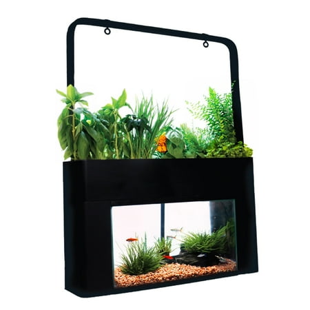 UPC: 0040232331213 | AquaSprouts Garden Self-Sustaining Desktop Aquarium Aquaponics Ecosystem Kit fits Standard 10 Gallon Aquariums Black