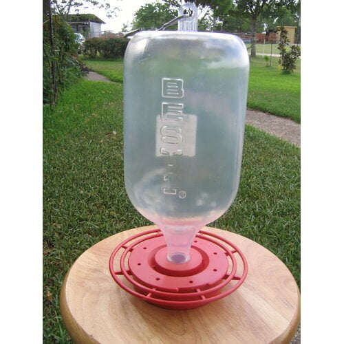 Best1 Hummingbird Feeder