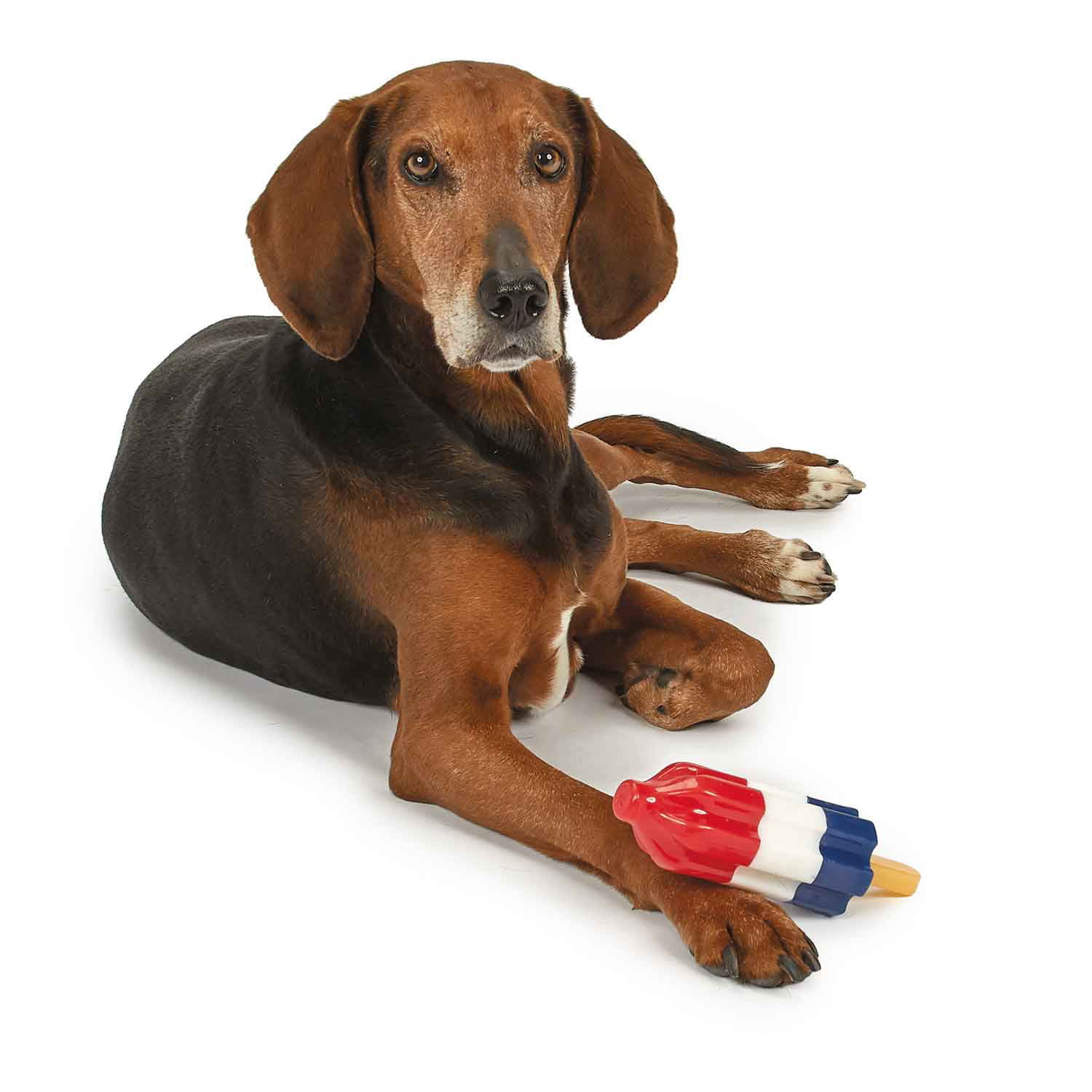 Rocket Pop Dog Toy – Puppy Love Gifts Shop
