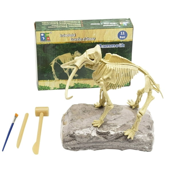 HLONK Dinosaur Skeleton Excavation Dig up Kit DIY Assembly Educational Kids Toy Display Mold