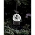 thumbnail image 3 of Mens Skate Snow Globe Ornament, 3 of 3