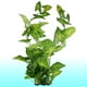 thumbnail image 2 of Acuario Faux Hojas Planta Decoración, 21,5 pulgadas, Verde, 2 of 2