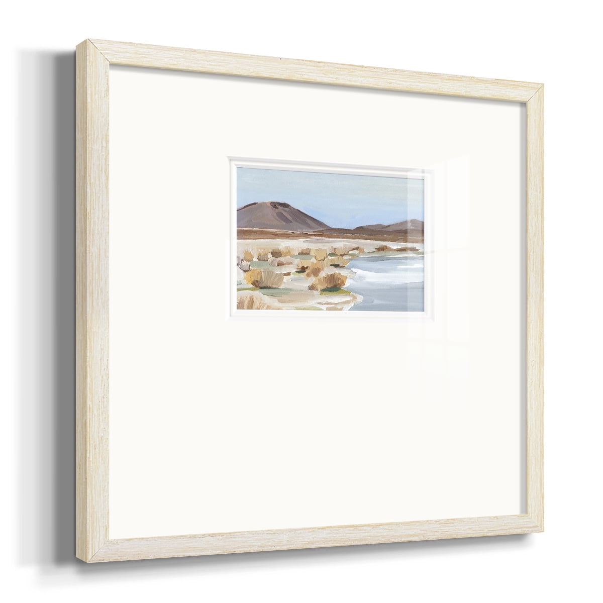 Desert Oasis Study IIPremium Framed Print