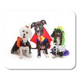 thumbnail image 1 of POGLIP Three Cute Little Puppy Dogs Dressed Up in Costumes Including Witch and Frog Prince Mousepad Mouse Pad Mouse Mat 9x10 inch, 1 of 1