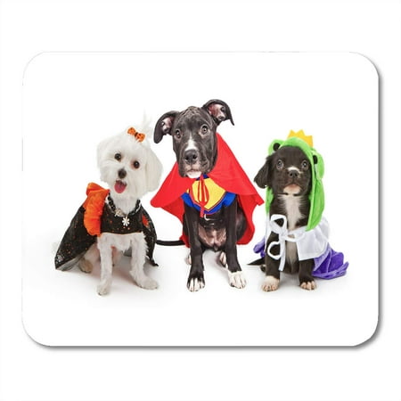 KDAGR Three Cute Little Puppy Dogs Dressed Up in Halloween Costumes Including Witch and Frog Prince Mousepad Mouse Pad Mouse Mat 9x10 inch
