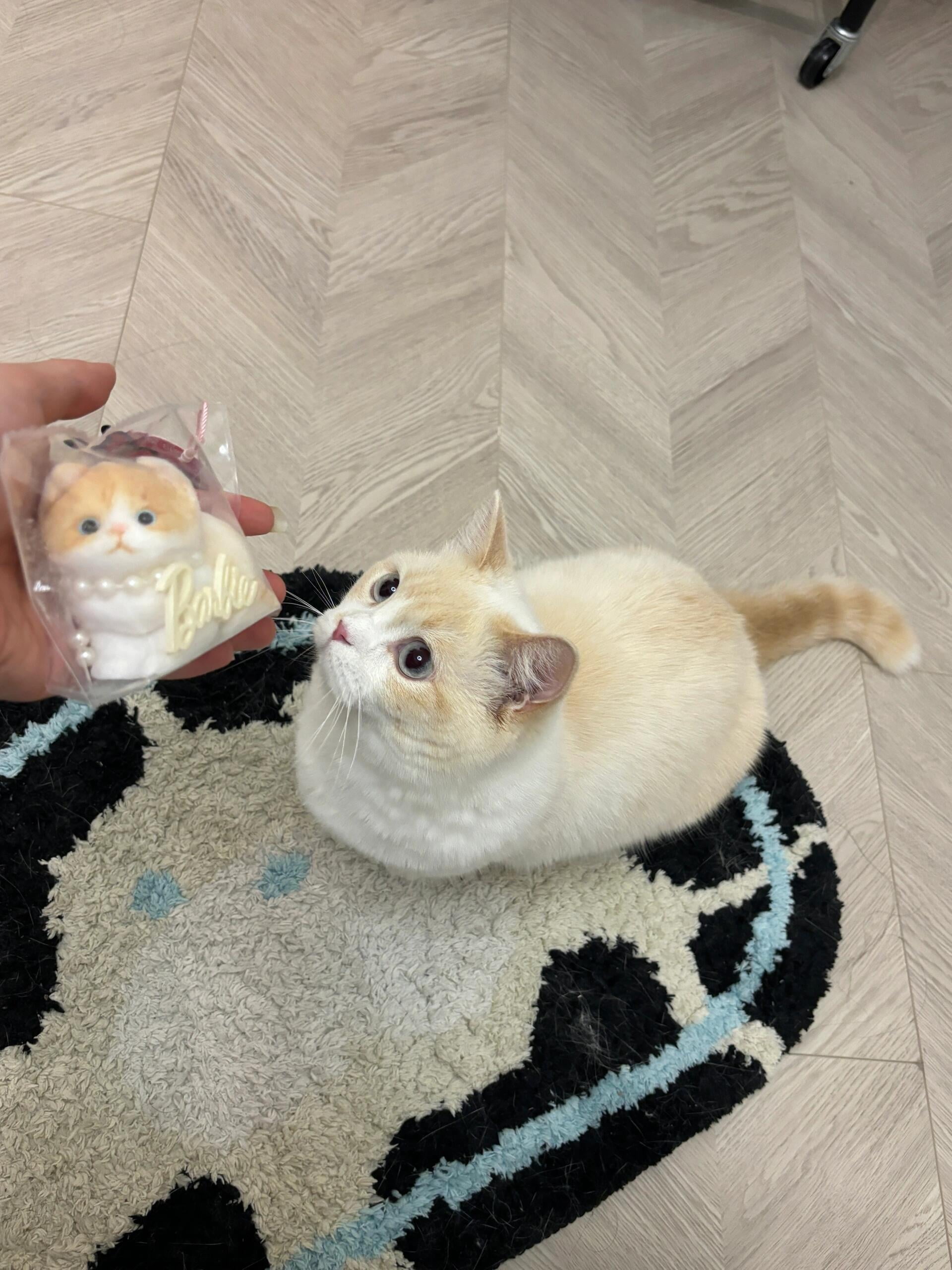 Soft Kitty Taba Squishy Toy Cat Fidget Toy, ASMR Sensory Cute Animal Squeeze Toy for Anti Stress Relief, Funny Christmas Party Gift for Children