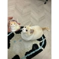 thumbnail image 3 of Soft Kitty Taba Squishy Toy Cat Fidget Toy, ASMR Sensory Cute Animal Squeeze Toy for Anti Stress Relief, Funny Christmas Party Gift for Children, 3 of 4