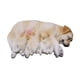 thumbnail image 3 of Figura de perro en miniatura,Figura de perro en miniatura para decoración de jardín de hadas,Figura de animal en miniatura para maceta decorativa,Accesorios para casas de muñecas con, 3 of 8