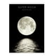 thumbnail image 2 of Pintura de la luna Sin marco Colgante de pared Pintura de fase lunar Cuadro de pared Decoración de sala de estar, 40x50cm, Tipo A Inevent HA004016-06B, 2 of 6