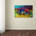 thumbnail image 3 of Trademark Fine Art 'Boo' Canvas Art by Marion Rose, 3 of 3