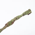 thumbnail image 3 of FUTUREORYY Reptile Tank Vine Decor Rama Artificial Flexible Para Ambientación Natural, 3 of 8