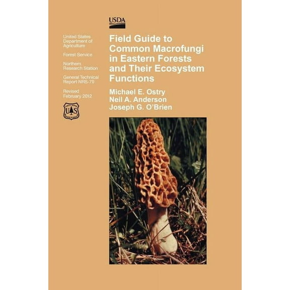 Field Guide to Common Macrofungi in Eastern Forests and Their Ecosystem Function (Paperback)