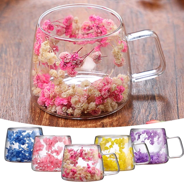 Taza de vidrio floral preservada 200ml | Taza transparente aislante de doble pared con flores reales recogidas a mano | Mango resistente al calor | Diseño floral elegante para bebidas calientes y