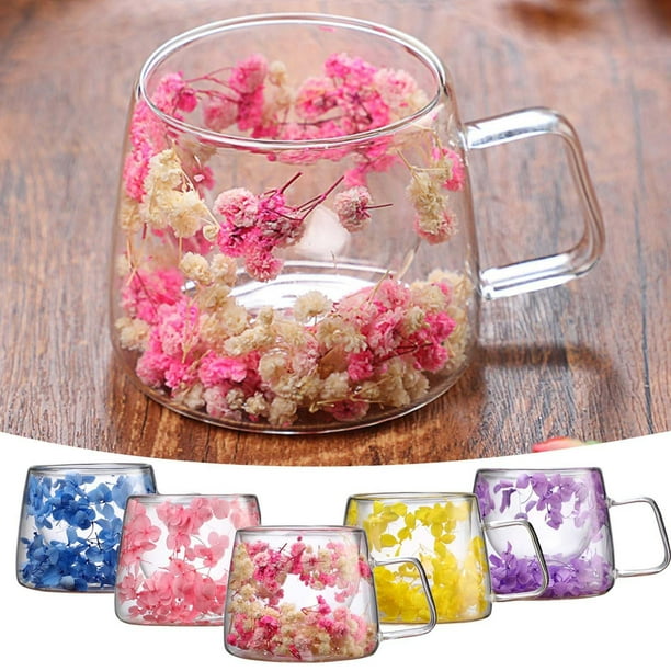 Taza de Vidrio Aislante de Doble Pared con Flores Preservadas, Capacidad de 200 Ml y Asa Resistente Al Calor.