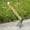 B, variant on Small Hoe, Heavy Duty Forged Garden Digging Tool, Without Welding, Gardening Tool, Oak Handle, for Digging, Weeding, and Planting