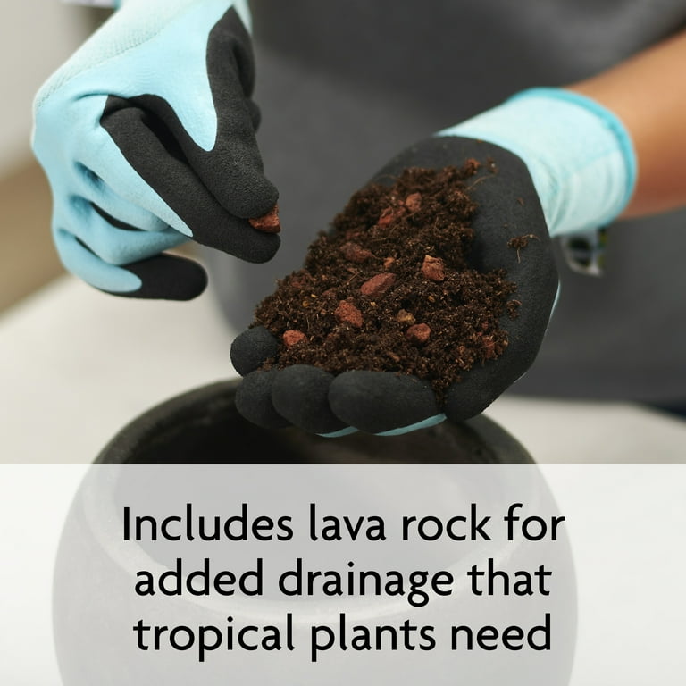 Miracle-Gro, Tropical Potting Mix, 6 qt. Container, Growing Media -  Walmart.com