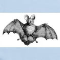 thumbnail image 2 of CafePress - Vintage Bat Infant Bodysuit - Baby Light Bodysuit, Size Newborn - 24 Months, 2 of 4