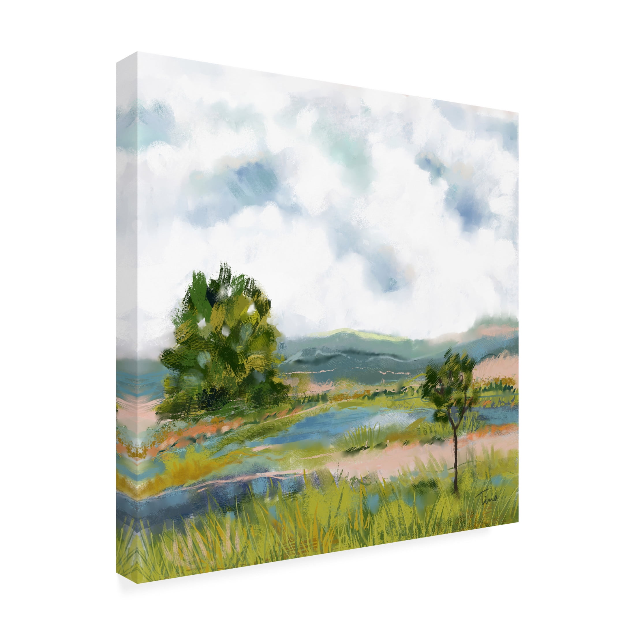 Canvas Wall Art - Tina Finn 'Scenic Hills' Wall Art for Living Room, Bedroom, or Office Décor by Trademark Fine Art - 24 x 24 Inches