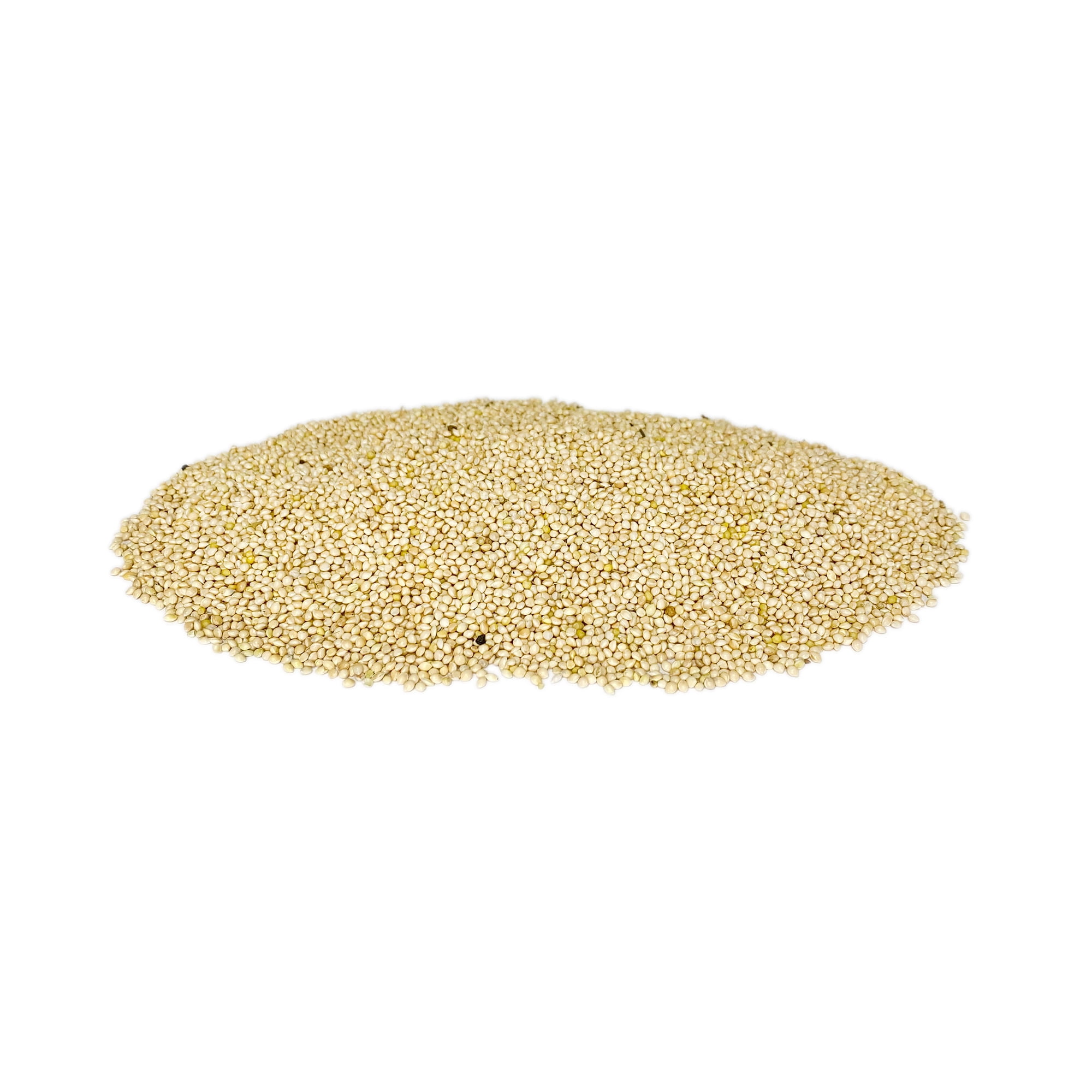 BestNest White Millet Bird Seed, 50 lbs. | Premium Ground & Tray Feeder Seed for Quail, Doves, Finches, Wrens & More |High-Protein, Fiber-Rich Feed for Wild Birds | Ideal for Backyard Ground Feeding