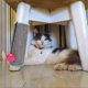 thumbnail image 3 of Alfombrilla protectora contra arañazos para gatos, almohadilla de sisal, poste rascador para gatos, alfombrilla rascadora para garras de gatito, protector de muebles para sofá, juguetes para gatos,, 3 of 5