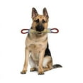 thumbnail image 5 of Oreillers Portables en Jute pour Chien, Lin Résistant aux Déchirures, Outils d'Entraînement pour Usage Intérieur Extérieur, Rembourrage en Soie Douce, Polyvalent pour Mâcher, Nettoie les Dents, Masse les Gencives (Bleu), 5 of 5