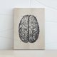 thumbnail image 4 of Estructura del cerebro Pintura Educativa Galería de interiores Escuela Enseñanza Imagen Poster ornamental desmontable colorido con marco Scienceny HA010721-00, 4 of 7