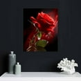 thumbnail image 4 of Nawypu Canvas Prints Wall Art - Closeup of Red Rose Flower Against Black Background | Modern Wall Decor/Home Decoration Stretched Gallery Canvas Wrap Giclee Print & Ready to Hang - 16x20 inch, 4 of 4