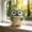 🔥 Light Blue_New, variant on TTJ Owl Holding Cup Resin Flowerpot Decorative Planter Cute Owl Mug Shaped Pot Indoor Outdoor Tabletop Home Garden Accent Small Plant Holder Gift for Plant Lovers
