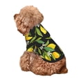 thumbnail image 5 of Fotbe Lemon Fruits Flowers Leaves Print Small Dog Sweater Hoodies Pet Grey Hooded Soft Fleece Sweatshirts with Pocket Fall Winter Puppy Cat Sweaters Warm Clothes-X-Large, 5 of 7