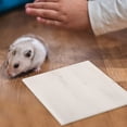 thumbnail image 2 of Miangastore Tapis Rafraîchissant pour Lapin, Tapis Rafraîchissant pour Hamster d'Été, 2 of 8