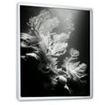 thumbnail image 2 of Designart "Monochrome Anemone Reef IV" Coastal Coral Under Water Floater Framed Wall Decor, 2 of 5